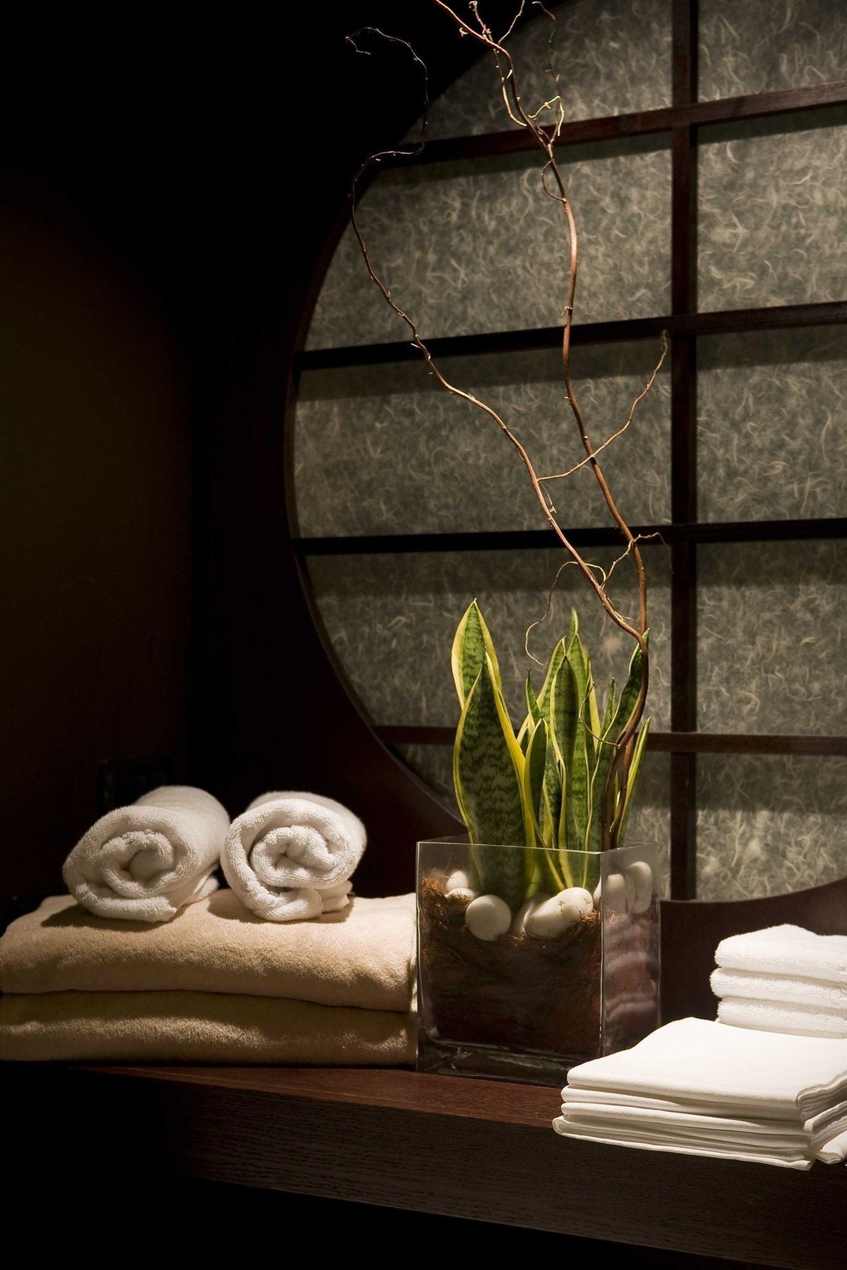 Royal Hotel Σαν Ρέμο Ανέσεις φωτογραφία Sansevieria trifasciata in a spa